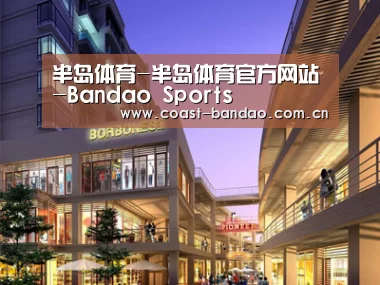 案例展示一(图1)