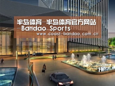 案例展示二(图1) 案例展示二(图1)