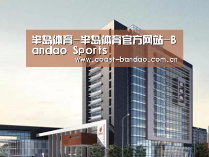 案例展示七