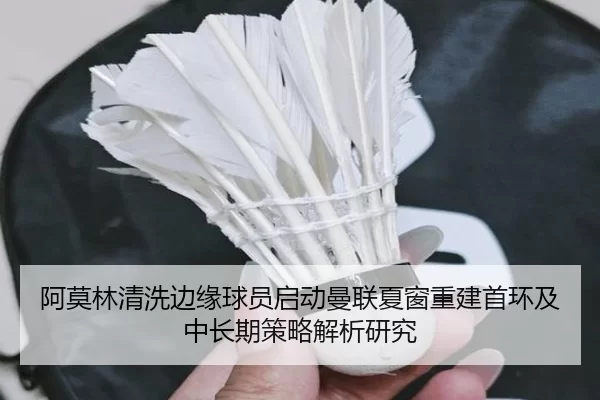 阿莫林清洗边缘球员启动曼联夏窗重建首环及中长期策略解析研究